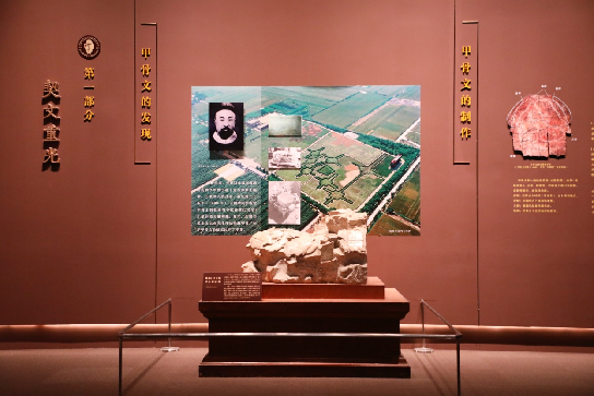 培训精彩课件案例