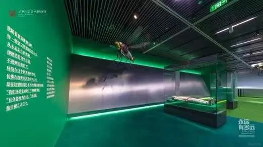 课程亮点分享 课程亮点分享