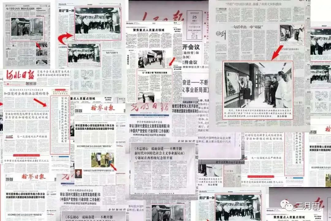 三月雨媒体报道